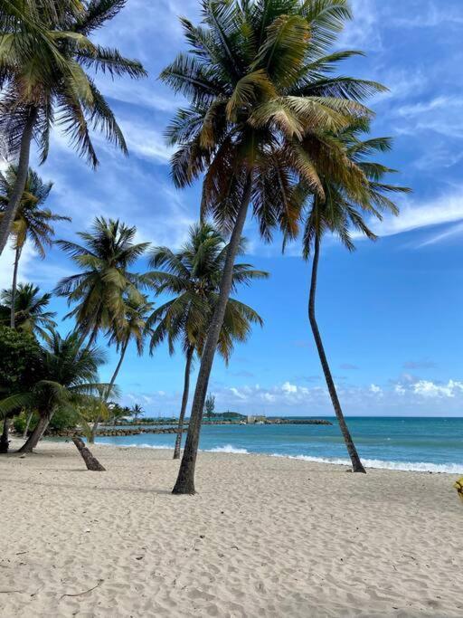 Le Calypso, Beachside Heaven Le Gosier  Ngoại thất bức ảnh
